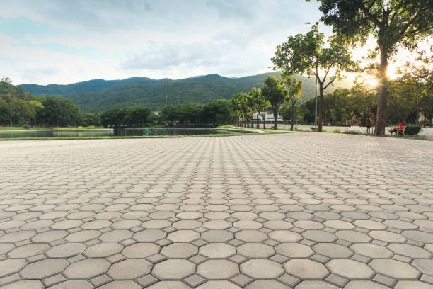 Best Driveway Pavers Near Me  in Live Oak, CA