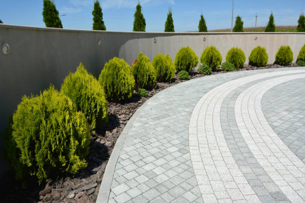 Best Driveway Paving Contractor  in Live Oak, CA